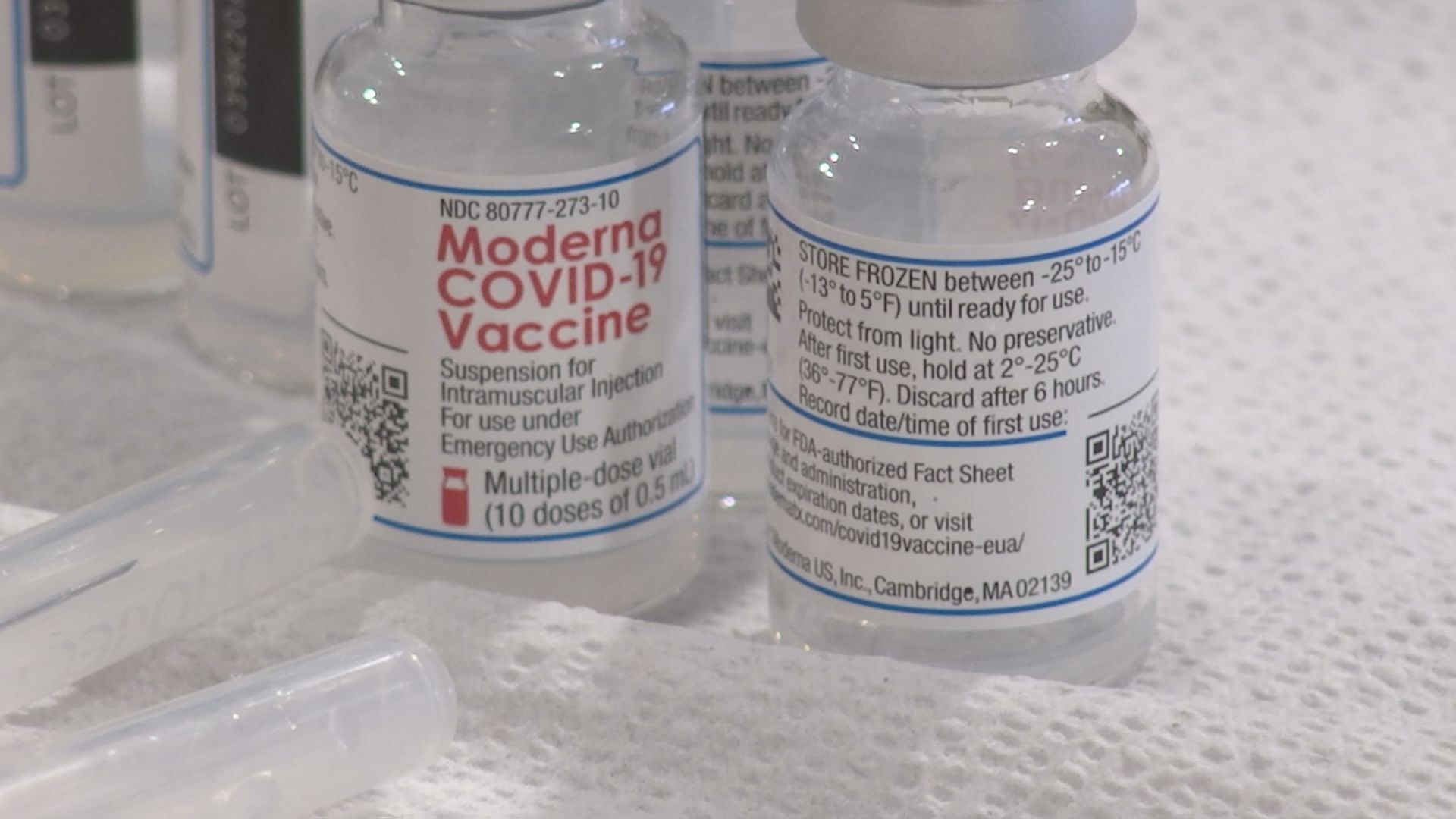 MODERNA VACCINE.jpg